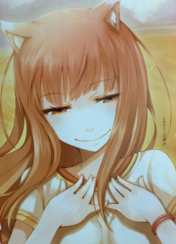 spice and wolf secuel