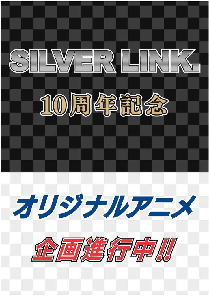 silver-link-proyect-10-aniverary