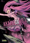 Akame Ga Kill #10