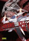 Akame Ga Kill #14