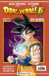Dragon Ball Super (Serie Super) #300