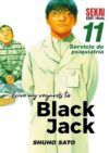Give my regards to Black Jack #11